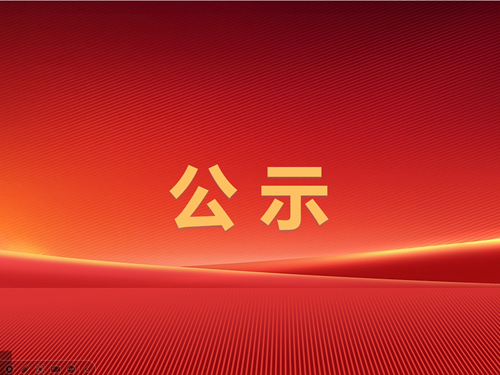 辰龍集團(tuán)級索煤礦2025年一季度較大及以上安全風(fēng)險(xiǎn)管控清單